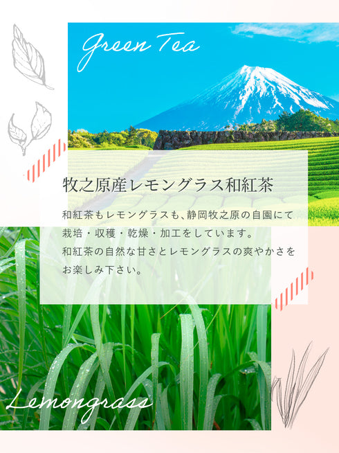 檸檬草 x 日本紅茶茶包 2.5g x 35p